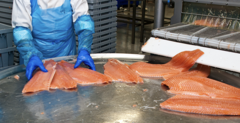 Meat and Fish Processing: Squashing Pests to Keep Safety A Cut Above